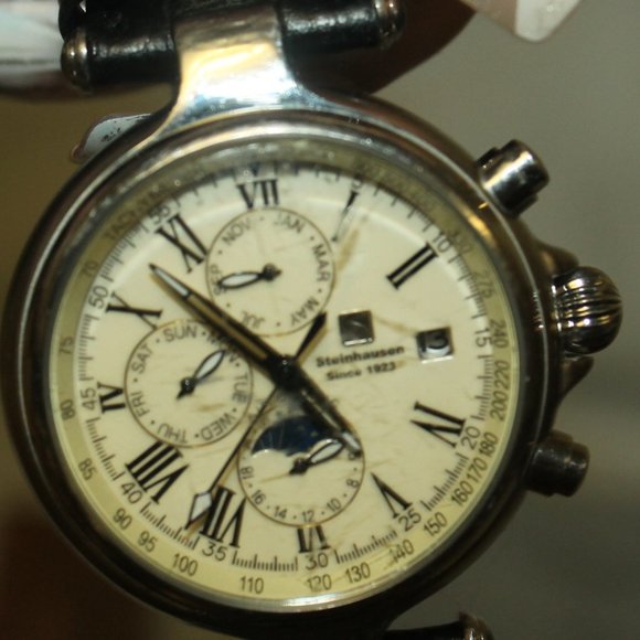 Men's or Unisex Steinhausen Automatic Watch Timepiece - Picture 8 of 10